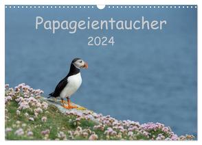 Papageientaucher 2024 (Wandkalender 2024 DIN A3 quer), CALVENDO Monatskalender von Leimer,  Stefan