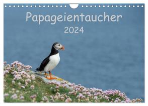 Papageientaucher 2024 (Wandkalender 2024 DIN A4 quer), CALVENDO Monatskalender von Leimer,  Stefan