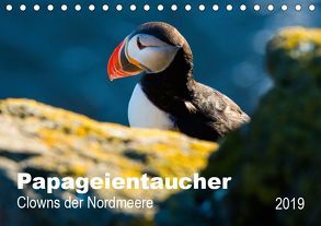 PAPAGEIENTAUCHER – Clowns der Nordmeere (Tischkalender 2019 DIN A5 quer) von Wagner,  Nicole
