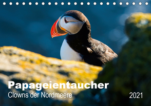 PAPAGEIENTAUCHER – Clowns der Nordmeere (Tischkalender 2021 DIN A5 quer) von Wagner,  Nicole