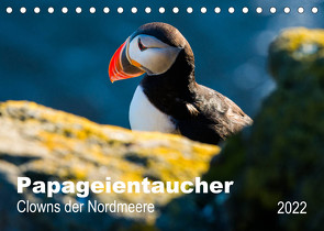 PAPAGEIENTAUCHER – Clowns der Nordmeere (Tischkalender 2022 DIN A5 quer) von Wagner,  Nicole