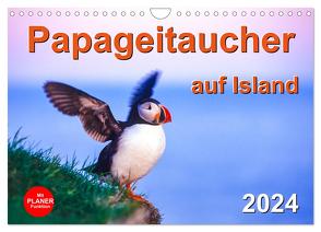 Papageitaucher auf Island (Wandkalender 2024 DIN A4 quer), CALVENDO Monatskalender von Vahldiek,  Carola