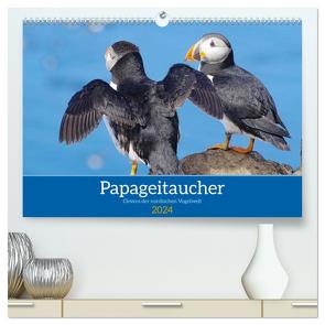 Papageitaucher – Clowns der nordischen Vogelwelt (hochwertiger Premium Wandkalender 2024 DIN A2 quer), Kunstdruck in Hochglanz von Pantke,  Reinhard