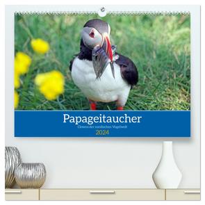 Papageitaucher – Clowns der nordischen Vogelwelt (hochwertiger Premium Wandkalender 2024 DIN A2 quer), Kunstdruck in Hochglanz von Pantke,  Reinhard