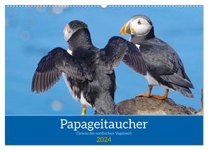 Papageitaucher – Clowns der nordischen Vogelwelt (Wandkalender 2024 DIN A2 quer), CALVENDO Monatskalender von Pantke,  Reinhard