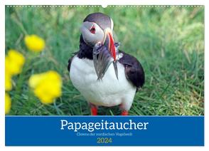 Papageitaucher – Clowns der nordischen Vogelwelt (Wandkalender 2024 DIN A2 quer), CALVENDO Monatskalender von Pantke,  Reinhard