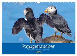 Papageitaucher – Clowns der nordischen Vogelwelt (Wandkalender 2024 DIN A3 quer), CALVENDO Monatskalender von Pantke,  Reinhard