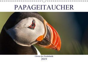 Papageitaucher: Clowns des Nordatlantik (Wandkalender 2019 DIN A3 quer) von Preißler,  Norman