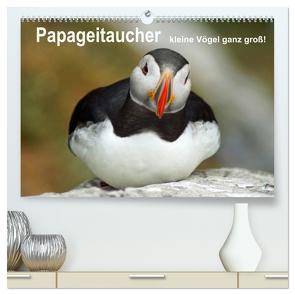 Papageitaucher – kleine Vögel ganz groß! (hochwertiger Premium Wandkalender 2024 DIN A2 quer), Kunstdruck in Hochglanz von Paul - Babett's Bildergalerie,  Babett