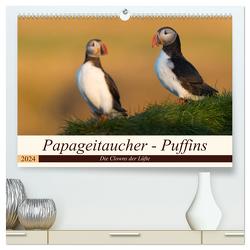 Papageitaucher – Puffins (hochwertiger Premium Wandkalender 2024 DIN A2 quer), Kunstdruck in Hochglanz von Jürgens,  Olaf