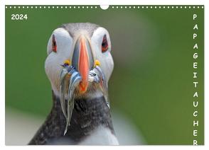 Papageitaucher (Wandkalender 2024 DIN A3 quer), CALVENDO Monatskalender von Wolf,  Gerald