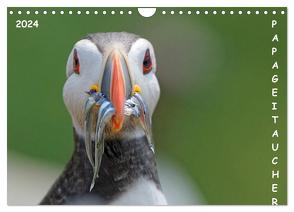 Papageitaucher (Wandkalender 2024 DIN A4 quer), CALVENDO Monatskalender von Wolf,  Gerald