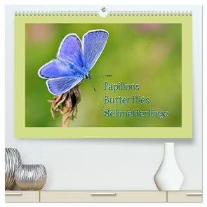 Papillons-Butterflies-Schmetterlinge (hochwertiger Premium Wandkalender 2024 DIN A2 quer), Kunstdruck in Hochglanz von Berger (Kabefa),  Karin