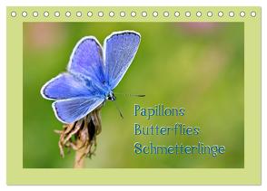 Papillons-Butterflies-Schmetterlinge (Tischkalender 2024 DIN A5 quer), CALVENDO Monatskalender von Berger (Kabefa),  Karin