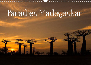 Paradies Madagaskar (Wandkalender 2022 DIN A3 quer) von www.augenblicke-antoniewski.de