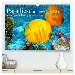 Paradiese im ewigen Blau. Die bunte Unterwasserwelt (hochwertiger Premium Wandkalender 2024 DIN A2 quer), Kunstdruck in Hochglanz von Stanzer,  Elisabeth