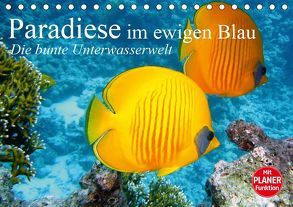 Paradiese im ewigen Blau. Die bunte Unterwasserwelt (Tischkalender 2019 DIN A5 quer) von Stanzer,  Elisabeth