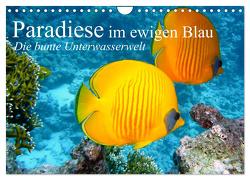 Paradiese im ewigen Blau. Die bunte Unterwasserwelt (Wandkalender 2024 DIN A4 quer), CALVENDO Monatskalender von Stanzer,  Elisabeth