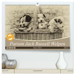 Parson Jack Russel Welpen (hochwertiger Premium Wandkalender 2024 DIN A2 quer), Kunstdruck in Hochglanz von Teßen,  Sonja