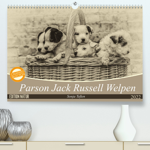 Parson Jack Russel Welpen (Premium, hochwertiger DIN A2 Wandkalender 2022, Kunstdruck in Hochglanz) von Teßen,  Sonja