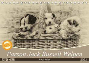 Parson Jack Russel Welpen (Tischkalender 2023 DIN A5 quer) von Teßen,  Sonja