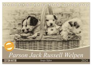 Parson Jack Russel Welpen (Tischkalender 2024 DIN A5 quer), CALVENDO Monatskalender von Teßen,  Sonja