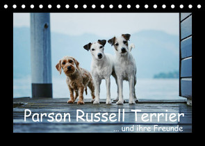 Parson Russell Terrier (Tischkalender 2022 DIN A5 quer) von Köntopp,  Kathrin