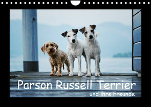 Parson Russell Terrier (Wandkalender 2022 DIN A4 quer) von Köntopp,  Kathrin