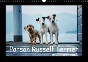 Parson Russell Terrier (Wandkalender 2023 DIN A3 quer) von Köntopp,  Kathrin