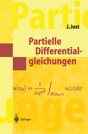 Partielle Differentialgleichungen von Jost,  Jürgen