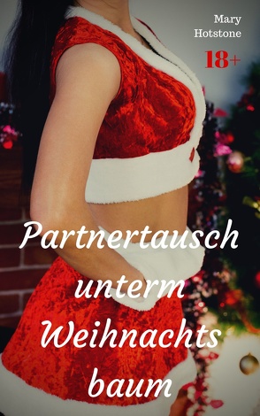 Partnertausch unterm Weihnachtsbaum von Hotstone,  Mary