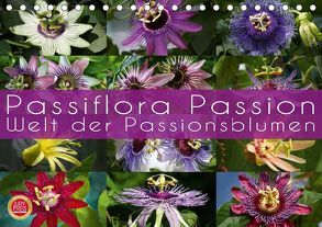 Passiflora Passion – Welt der Passionsblumen (Tischkalender 2019 DIN A5 quer) von Cross,  Martina