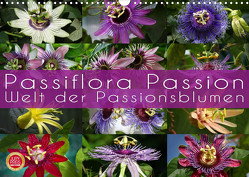 Passiflora Passion – Welt der Passionsblumen (Wandkalender 2023 DIN A3 quer) von Cross,  Martina