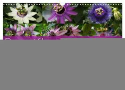 Passiflora Passion – Welt der Passionsblumen (Wandkalender 2024 DIN A3 quer), CALVENDO Monatskalender von Cross,  Martina