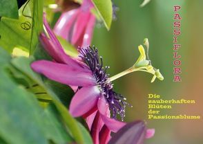 Passiflora (Posterbuch DIN A4 quer) von GUGIGEI,  k.A.