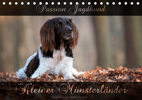 Passion Jagdhund – Kleiner Münsterländer (Tischkalender 2020 DIN A5 quer) von Gerlach,  Nadine