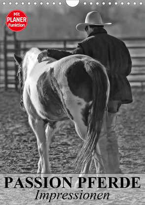 Passion Pferde. Impressionen (Wandkalender 2020 DIN A4 hoch) von Stanzer,  Elisabeth