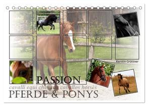 Passion – Pferde und Ponys (Tischkalender 2024 DIN A5 quer), CALVENDO Monatskalender von Grüttner,  Kerstin