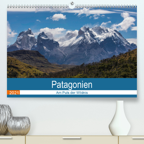 Patagonien – Am Puls der Wildnis (Premium, hochwertiger DIN A2 Wandkalender 2021, Kunstdruck in Hochglanz) von Neetze,  Akrema-Photograhy
