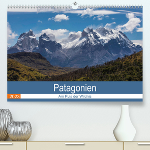 Patagonien – Am Puls der Wildnis (Premium, hochwertiger DIN A2 Wandkalender 2023, Kunstdruck in Hochglanz) von Neetze,  Akrema-Photograhy