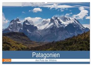 Patagonien – Am Puls der Wildnis (Wandkalender 2024 DIN A2 quer), CALVENDO Monatskalender von Neetze,  Akrema-Photograhy