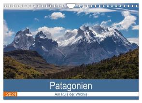 Patagonien – Am Puls der Wildnis (Wandkalender 2024 DIN A4 quer), CALVENDO Monatskalender von Neetze,  Akrema-Photograhy