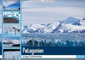 Patagonien. Eisige Schönheiten (Wandkalender 2019 DIN A2 quer) von Reuke,  Sabine