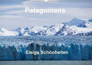 Patagoniens Eisige Schönheiten (Wandkalender 2018 DIN A3 quer) von Reuke,  Sabine
