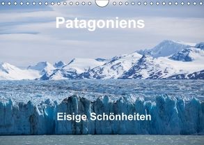Patagoniens Eisige Schönheiten (Wandkalender 2018 DIN A4 quer) von Reuke,  Sabine