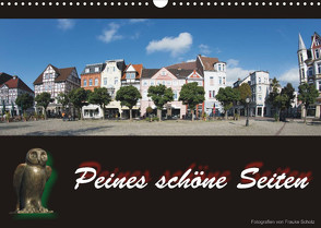 Peines schöne Seiten (Wandkalender 2022 DIN A3 quer) von Scholz,  Frauke