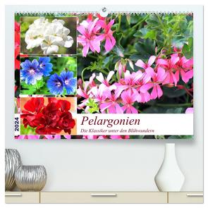 Pelargonien. Die Klassiker unter den Blühwundern (hochwertiger Premium Wandkalender 2024 DIN A2 quer), Kunstdruck in Hochglanz von Hurley,  Rose