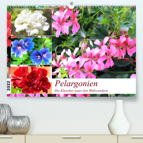 Pelargonien. Die Klassiker unter den Blühwundern (Premium, hochwertiger DIN A2 Wandkalender 2022, Kunstdruck in Hochglanz) von Hurley,  Rose