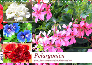 Pelargonien. Die Klassiker unter den Blühwundern (Wandkalender 2023 DIN A4 quer) von Hurley,  Rose