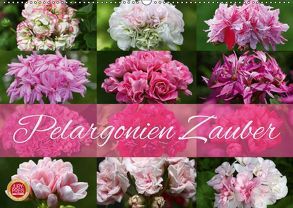 Pelargonien Zauber (Wandkalender 2019 DIN A2 quer) von Cross,  Martina